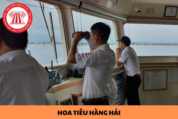 Trương hợp nào tàu thuyền Việt Nam bắt buộc sử dụng hoa tiêu hàng hải?