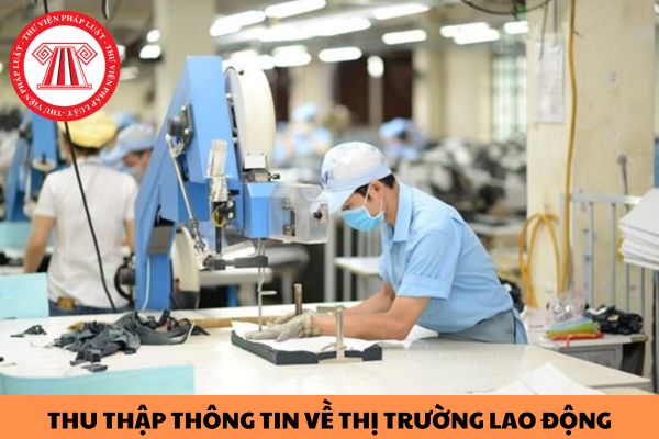 Mẫu Thông tin về cung lao động trong việc thu thập thông tin về thị trường lao động mới nhất 2023?