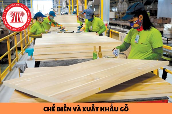 Có thể nộp hồ sơ đăng ký phân loại doanh nghiệp chế biến và xuất khẩu gỗ qua các hình thức nào?