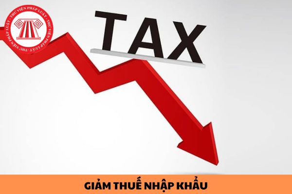 Mẫu công văn đề nghị giảm thuế nhập khẩu mới nhất hiện nay như thế nào?