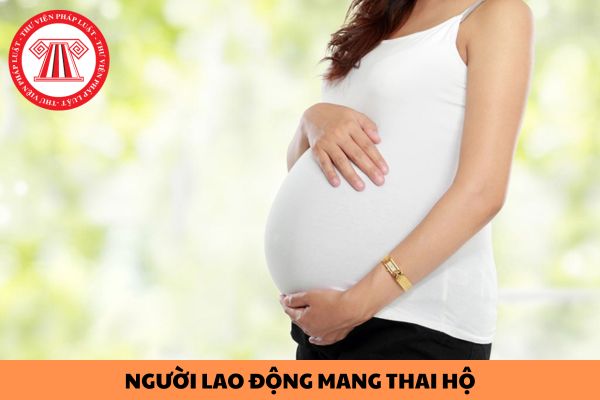 Hỏi đáp Pháp luật
