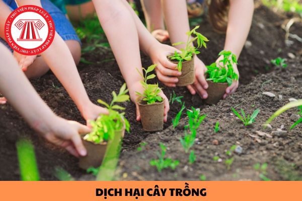 Yêu cầu kỹ thuật về phương pháp điều tra phát hiện dịch hại cây trồng theo Quy chuẩn kỹ thuật quốc gia QCVN 01-38:2010/BNNPTNT như thế nào?