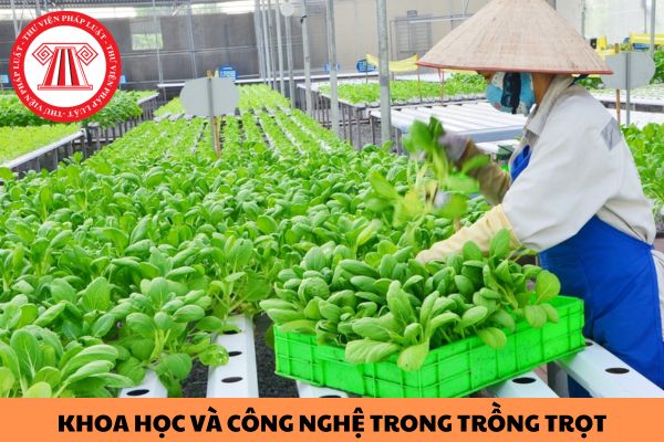 Hoạt động khoa học và công nghệ trong trồng trọt được Nhà nước đầu tư hoặc hỗ trợ đầu tư gồm những gì?