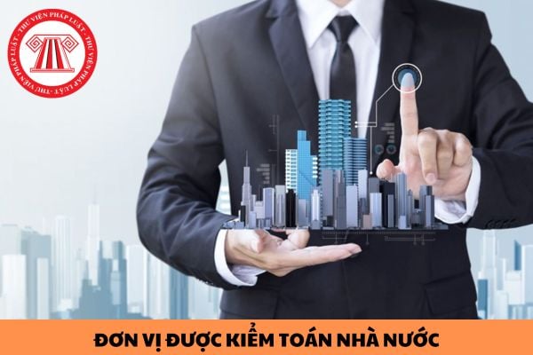 Doanh nghiệp do Nhà nước nắm giữ từ 50% vốn điều lệ trở xuống có phải là đơn vị được kiểm toán nhà nước không?