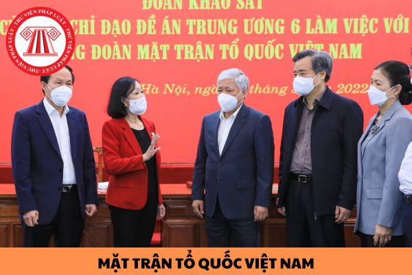 Thành viên cá nhân của Mặt trận Tổ quốc Việt Nam có được quyền chất vấn về tổ chức và hoạt động của Ủy ban Mặt trận Tổ quốc Việt Nam không?