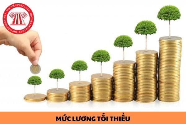 Mức lương tối thiểu được điều chỉnh dựa trên các điều kiện nào?