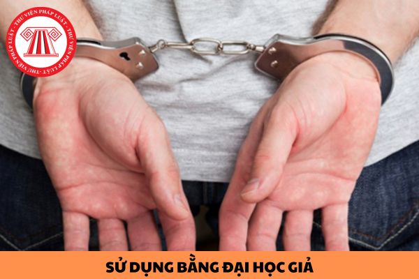 Sử dụng bằng đại học giả thì đi bao nhiêu năm tù?