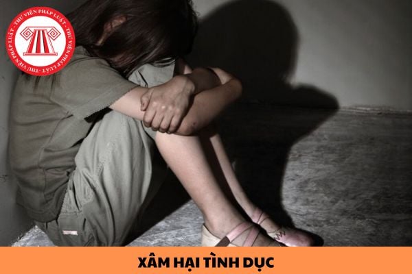 Nguyên tắc xử lý đối với người phạm tội xâm hại tình dục được quy định như thế nào?