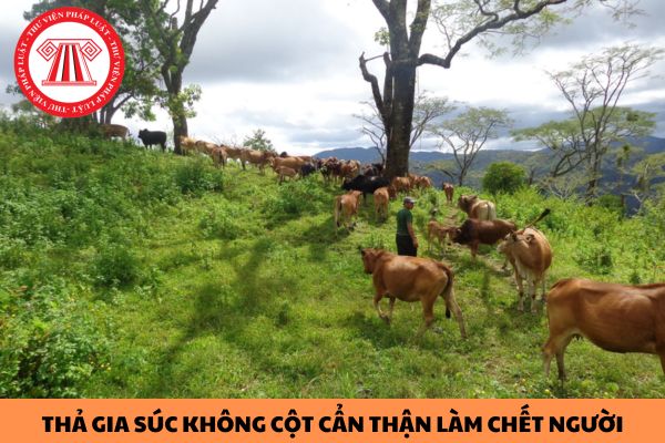 Thả gia súc không cột cẩn thận làm chết người thì chủ bị xử lý như thế nào?