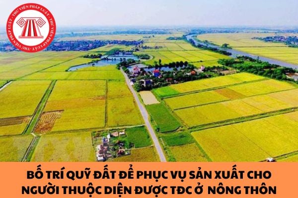 Không bố trí quỹ đất để phục vụ sản xuất cho người thuộc diện được tái định cư ở  nông thôn bị xử phạt như thế nào?