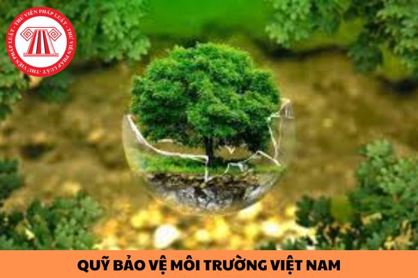 Vốn điều lệ tối thiểu của Quỹ Bảo vệ môi trường Việt Nam là bao nhiêu?