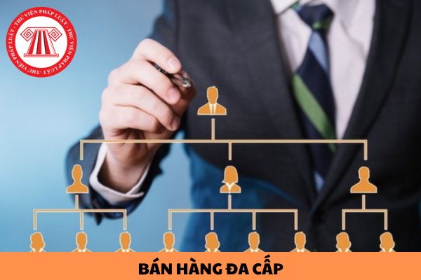 Mẫu báo cáo kết quả hoạt động kinh doanh bán hàng đa cấp cuối năm 2023 như thế nào?