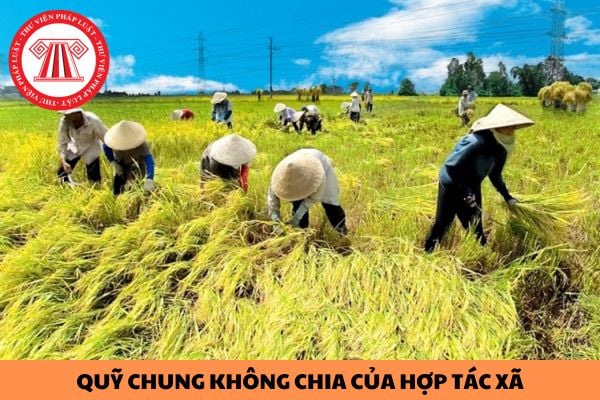 Quỹ chung không chia của liên hiệp hợp tác xã được hình thành từ các nguồn nào?