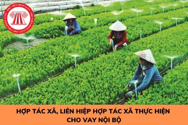 Điều kiện để hợp tác xã, liên hiệp hợp tác xã thực hiện cho vay nội bộ gồm những gì?