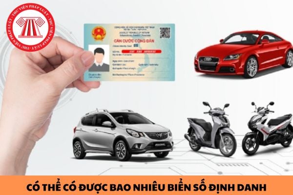 Một người có thể có được bao nhiêu biển số định danh?