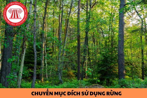 Giải pháp tháo gỡ khó khăn, vướng mắc trong chuyển mục đích sử dụng rừng sang mục đích khác để thực hiện các dự án cấp thiết?