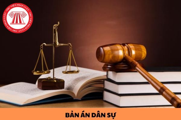 Bản án dân sự sai chính tả có được sửa chữa không?