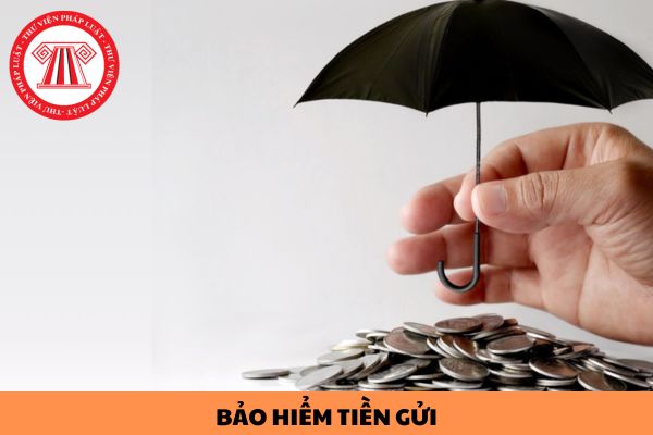 Các khoản chi nào Bảo hiểm tiền gửi Việt Nam không được hạch toán vào chi phí?