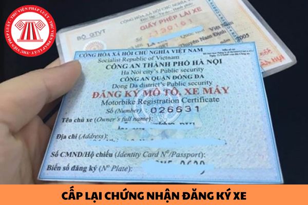 Hỏi đáp Pháp luật