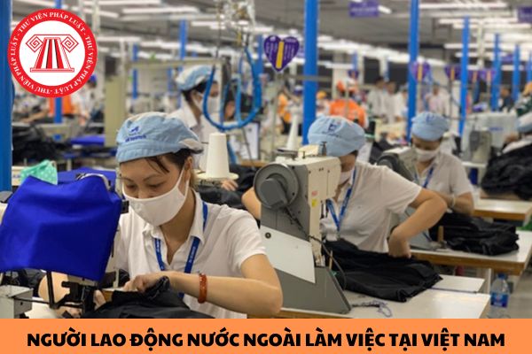 Mẫu Thông tin người lao động nước ngoài làm việc tại Việt Nam năm 2023?