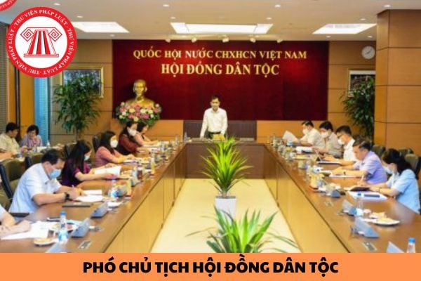 Phó Chủ tịch Hội đồng dân tộc của Quốc hội có mức phụ cấp chức vụ lãnh đạo bao nhiêu?