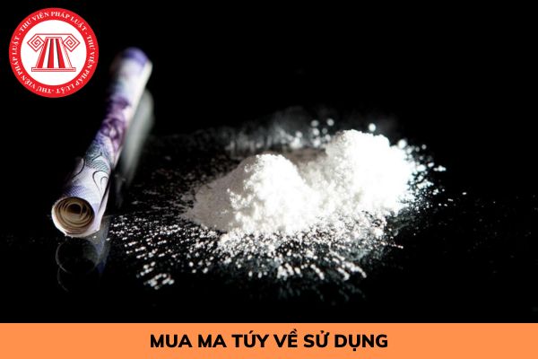 Mua ma túy về sử dụng bị phạt như thế nào?