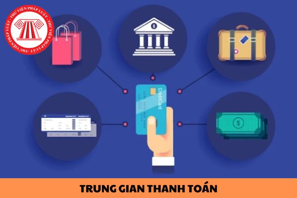 Mẫu đơn đề nghị cấp giấy phép hoạt động cung ứng dịch vụ trung gian thanh toán áp dụng năm 2024 như thế nào?