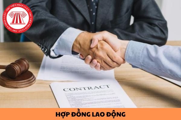 File quản lý hợp đồng lao động dành cho doanh nghiệp năm 2024?