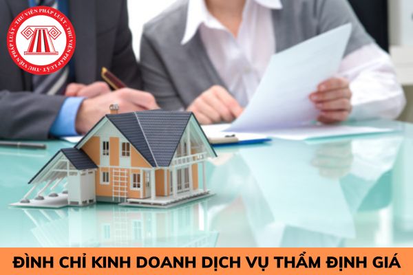 Doanh nghiệp thẩm định giá bị đình chỉ kinh doanh dịch vụ thẩm định giá khi thuộc một trong các trường hợp nào?