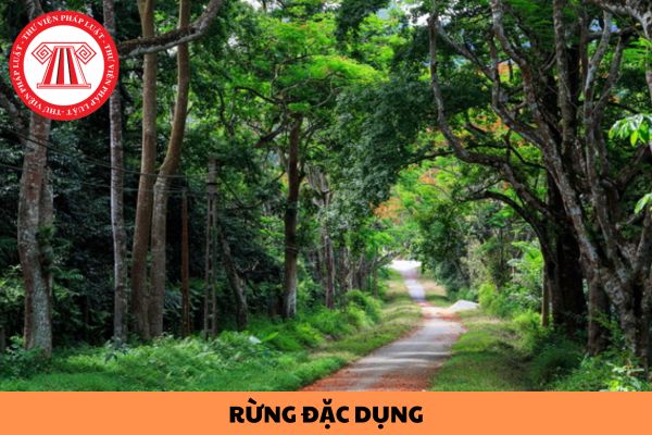 Nội dung cơ bản của phương án quản lý rừng bền vững đối với rừng đặc dụng gồm những gì?