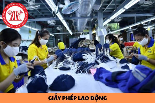 Giấy phép lao động đối với người nước ngoài làm việc tại Việt Nam bị thu hồi thì có được cấp lại hay không?