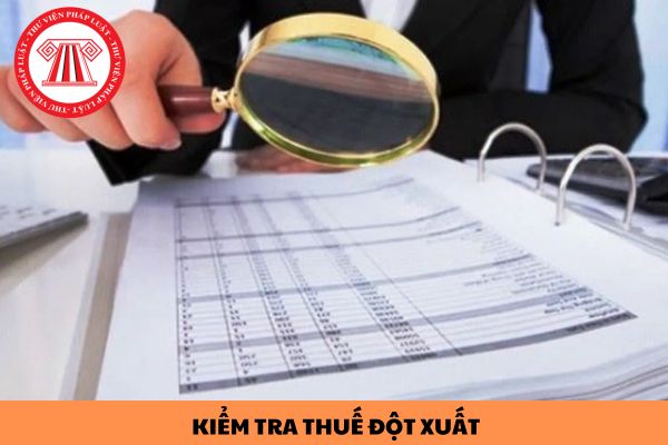 Hồ sơ trình ban hành Quyết định kiểm tra thuế tại trụ sở của người nộp thuế gồm những gì?