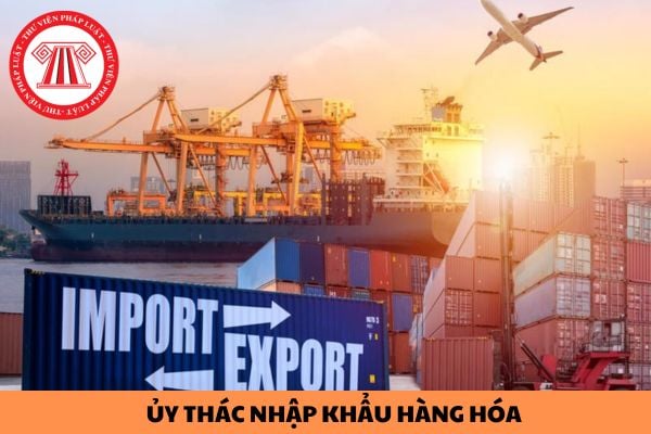 Người nhận ủy thác nhập khẩu hàng hóa có phải là đối tượng nộp thuế bảo vệ môi trường không?