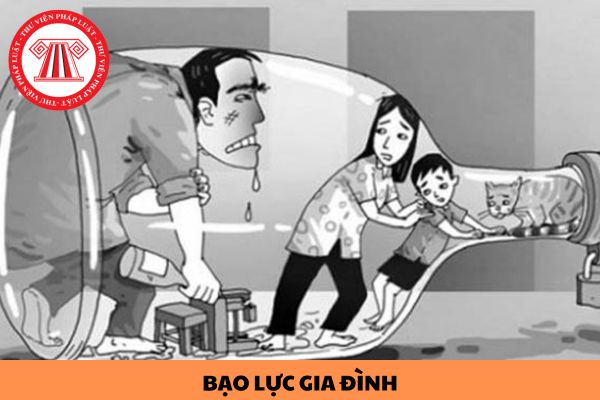 Người nước ngoài cư trú tại Việt Nam có hành vi bạo lực gia đình thì xử lý như thế nào?