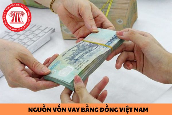 Nhà đầu tư có được sử dụng nguồn vốn vay bằng đồng Việt Nam từ tổ chức tín dụng để mua ngoại tệ đầu tư gián tiếp ra nước ngoài không?