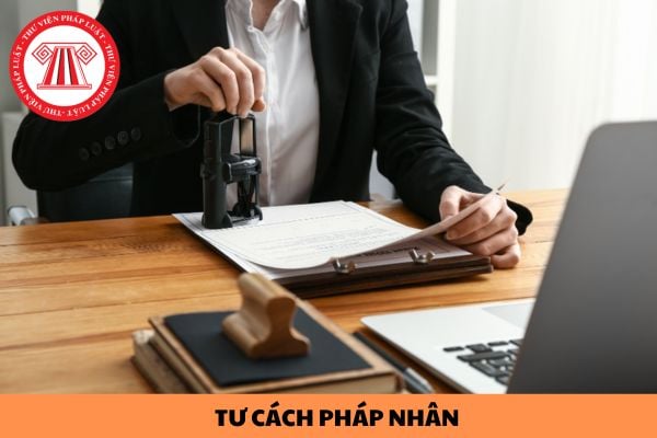 Quỹ hỗ trợ chương trình, dự án an sinh xã hội Việt Nam có tư cách pháp nhân không?