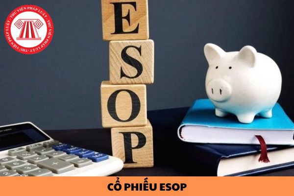 Cổ phiếu ESOP là gì? Trường hợp phát hành cổ phiếu thưởng cho người lao động để tăng vốn cổ phần được quy định như thế nào?