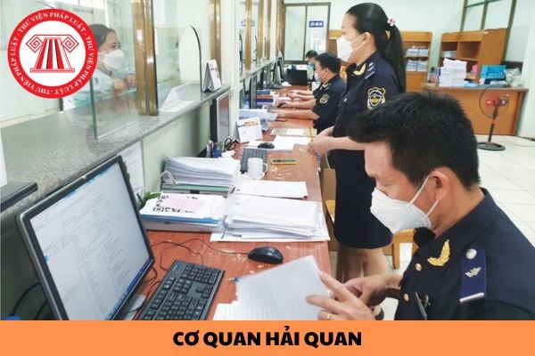 Người khai hải quan có được quyền yêu cầu cơ quan hải quan kiểm tra lại thực tế hàng hóa đã kiểm tra?