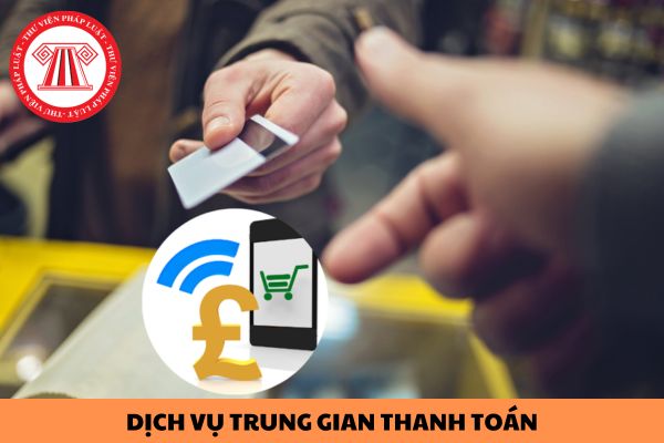 Mẫu báo cáo tình hình hoạt động cung ứng dịch vụ trung gian thanh toán năm 2024 được quy định như thế nào?