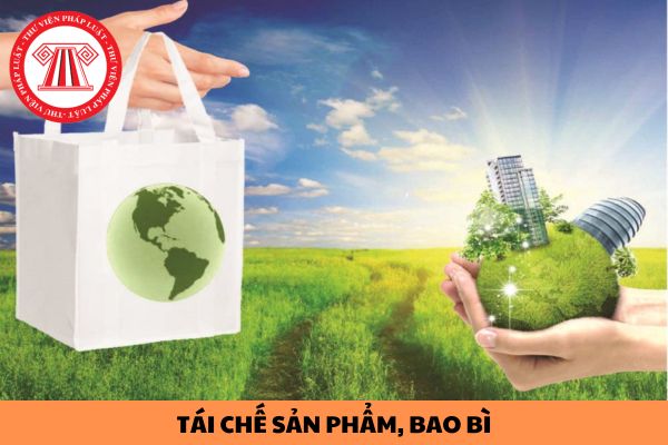 Mẫu đăng ký kế hoạch tái chế sản phẩm, bao bì năm 2024 được quy định như thế nào?