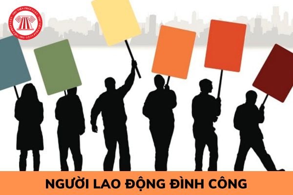 Hỏi đáp Pháp luật