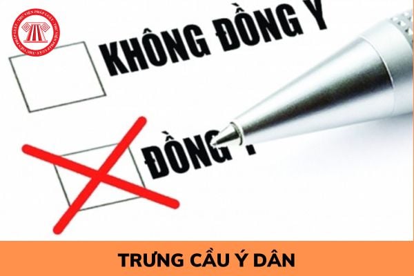 Phiếu trưng cầu ý dân không hợp lệ trong những trường hợp nào?