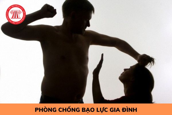 Hội liên hiệp Phụ nữ Việt Nam có trách nhiệm gì trong phòng chống bạo lực gia đình?