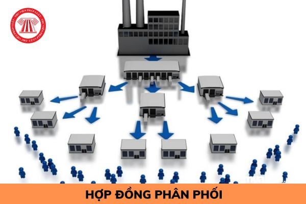 Hỏi đáp Pháp luật