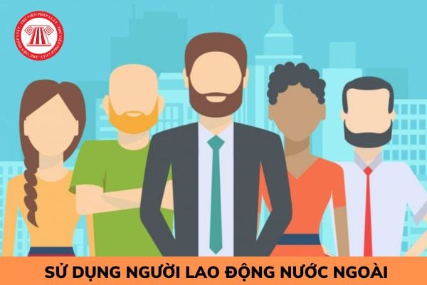 Doanh nghiệp có được quyền đương nhiên tuyển dụng người lao động nước ngoài làm việc không?