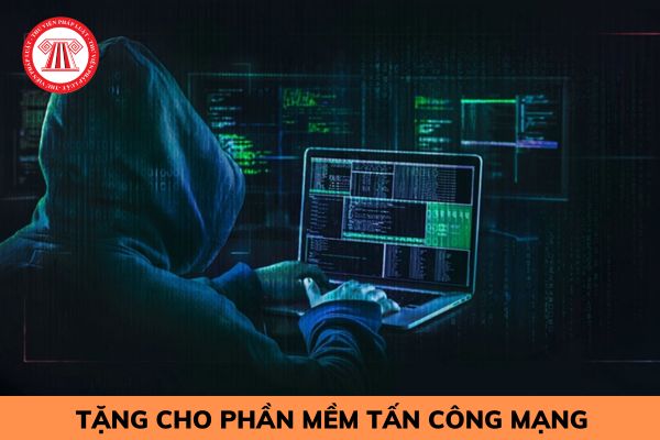 Tặng cho phần mềm máy tính có bị truy cứu trách nhiệm hình sự không?