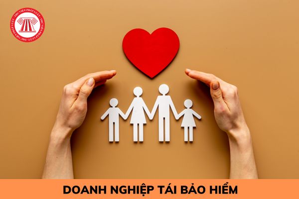 Hoạt động của doanh nghiệp tái bảo hiểm, chi nhánh doanh nghiệp tái bảo hiểm nước ngoài bao gồm những gì?