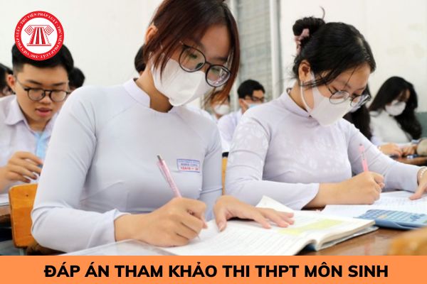 Hỏi đáp Pháp luật