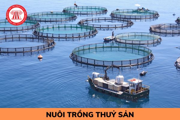 Cơ sở vẫn tiếp tục hoạt động bị thu hồi Giấy chứng nhận cơ sở đủ điều kiện sản xuất thức ăn thủy sản thì bị xử lý như thế nào?