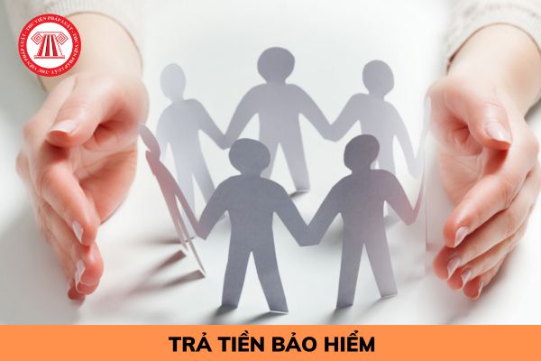 Người được bảo hiểm chết do bị thi hành án tử hình có được chi trả tiền bảo hiểm nhân thọ không?